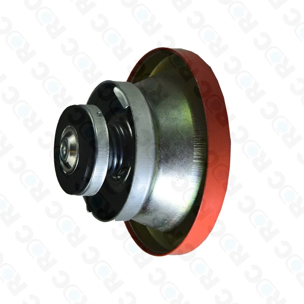 Radiator Cap 6