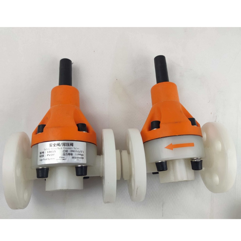 Chemical Resistant Pressure Control DN15 Safety Back Pressure Valve