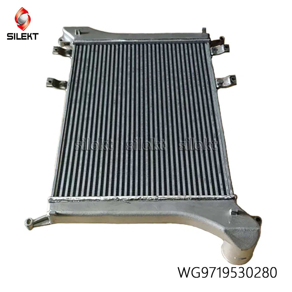 Wg9719530280 Truck Spare Parts for HOWO Cooling System Air Conditioner Intercooler