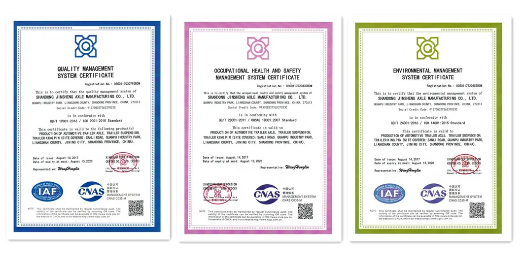 Final Product Showcase