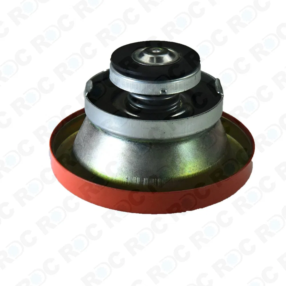 Radiator Cap 3