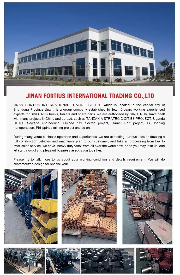 Company Profile View