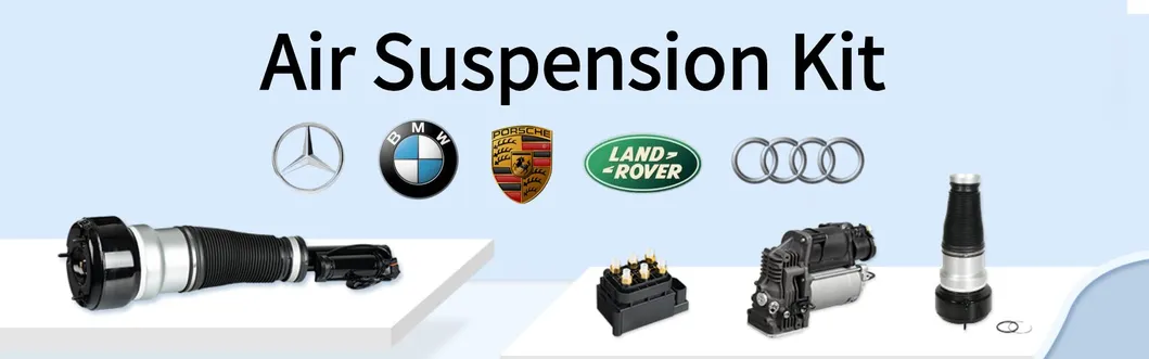 Mercedes E Class Air Spring