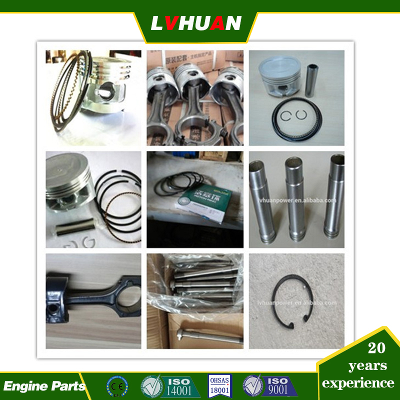 China Engine Zichai 300 Series 6300 / 8300 Ignition Systems Generator Engine Spare Part