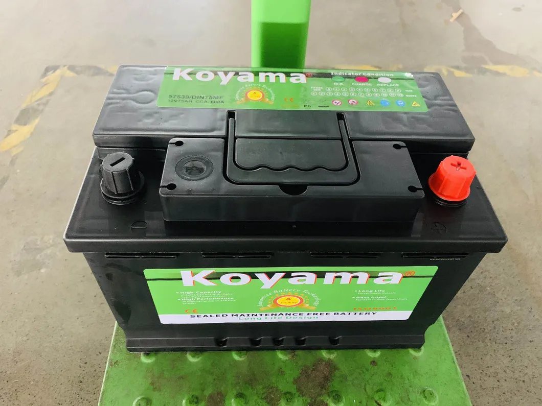 Maintenance Free Car Battery