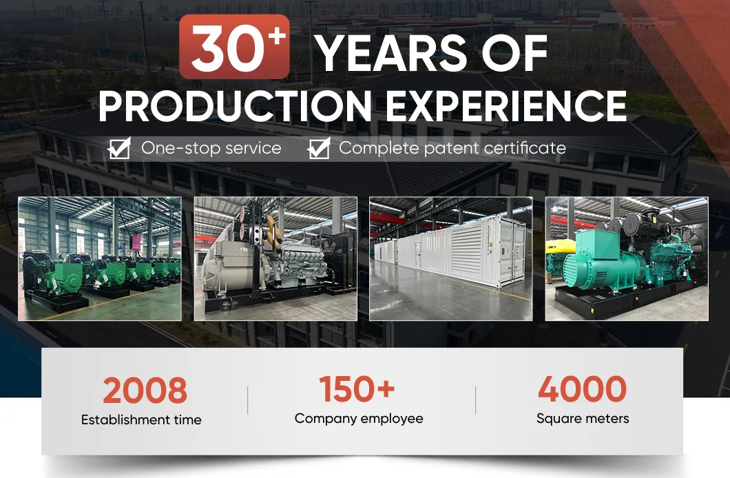 Diesel Power Generator