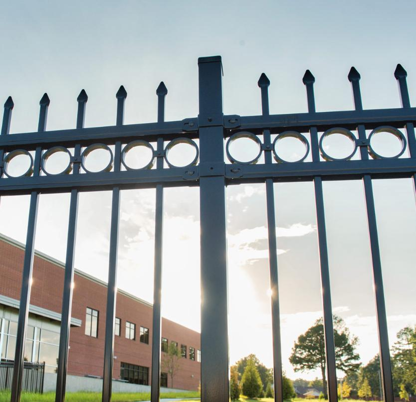 Transform Your Garden with a High-Quality Wrought Iron Galvanized Steel Fence for Ornament/Decoration/Safety