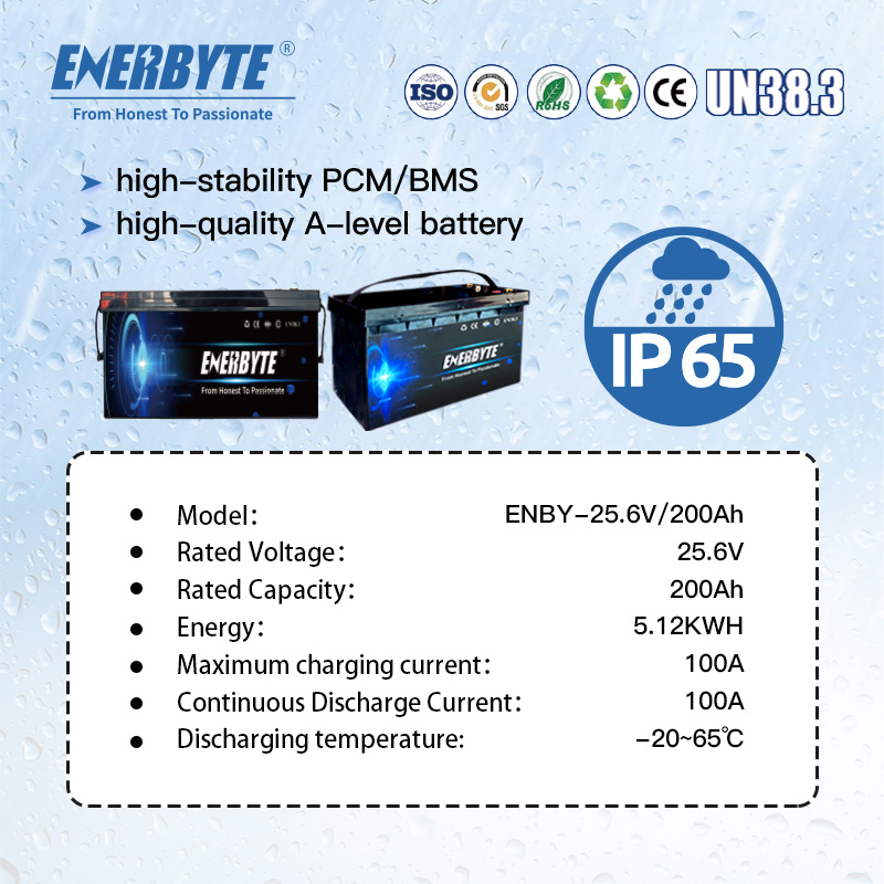 12V/24V 100ah/200ah Lithium Iron Battery Battery Pack Rechargeable Lithium Ion Batteries for Car Backup/Lithium Battery/LiFePO4 Battery/Lithium Ion Battery