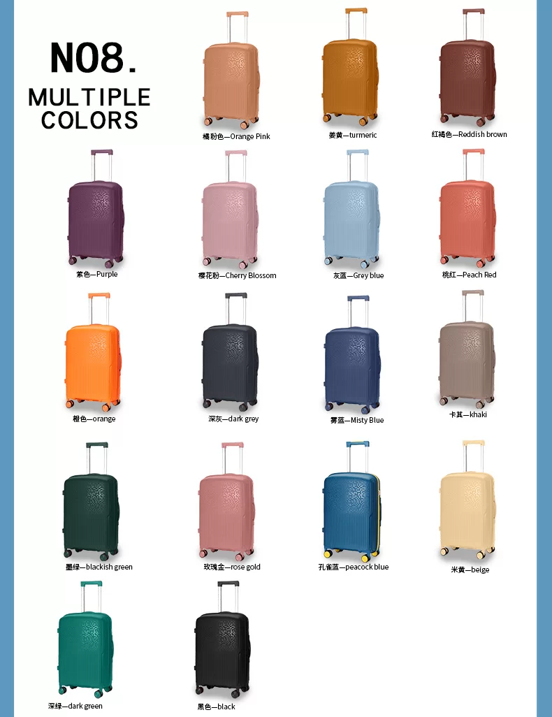 Luggage Detail 10