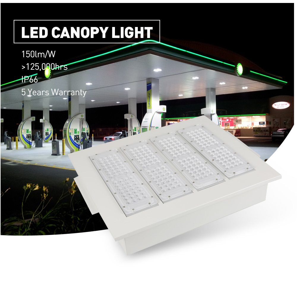 LED Canopy Light