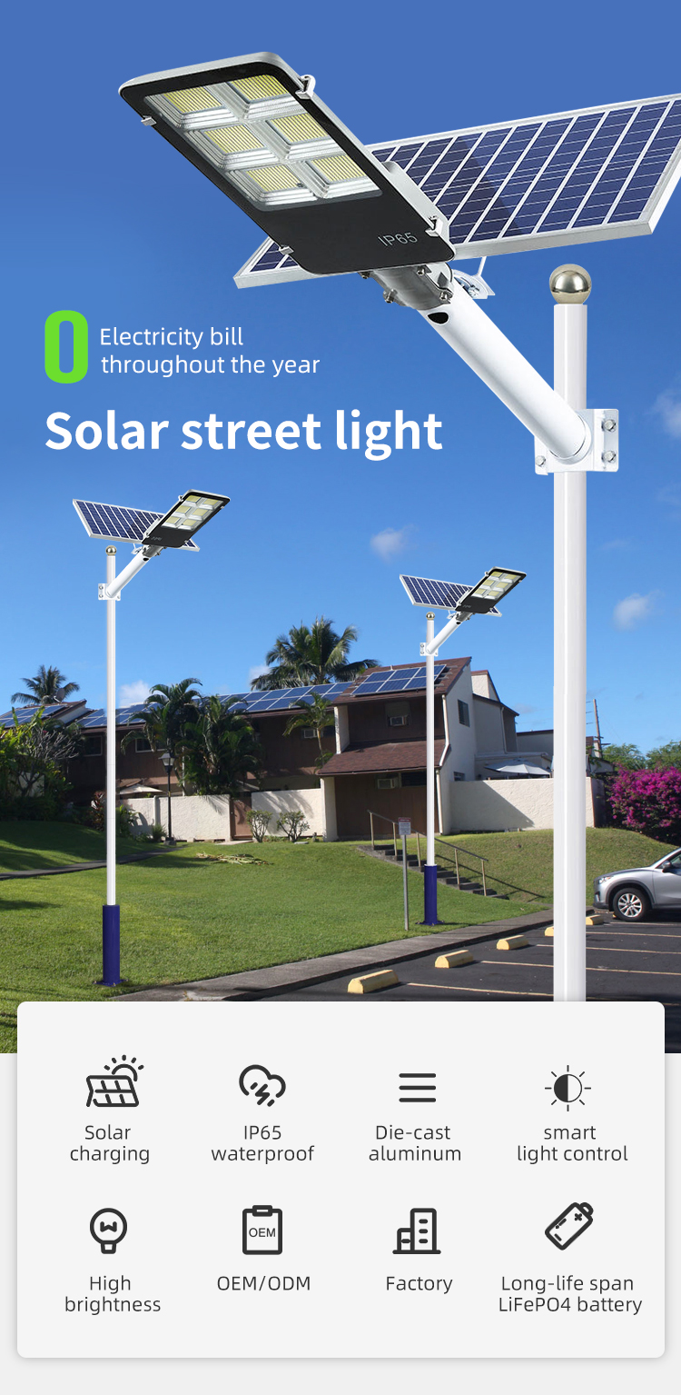 Solar Street Light Details