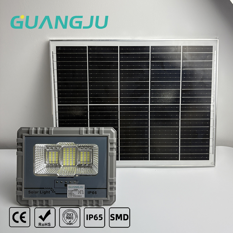 Outdoor High-quality Solar Floodlight 40W 60W 100W 200W 5730 Chip TIAN GONG LED Solar Floodlight