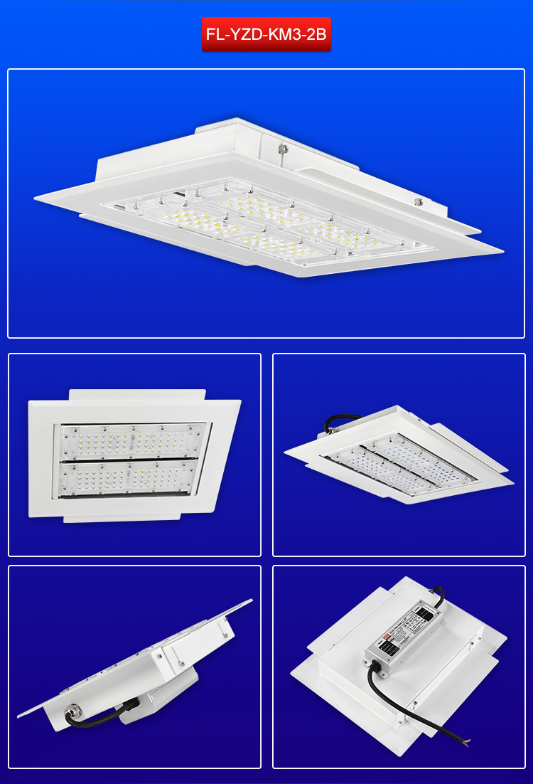 LED Canopy Light 13