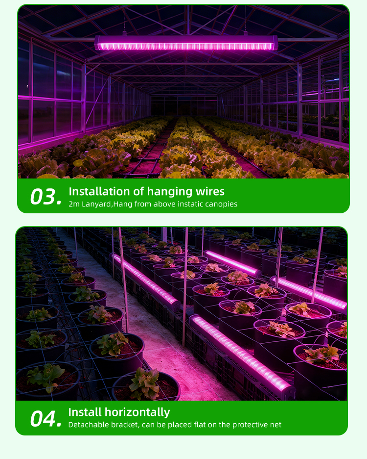 Product View 8