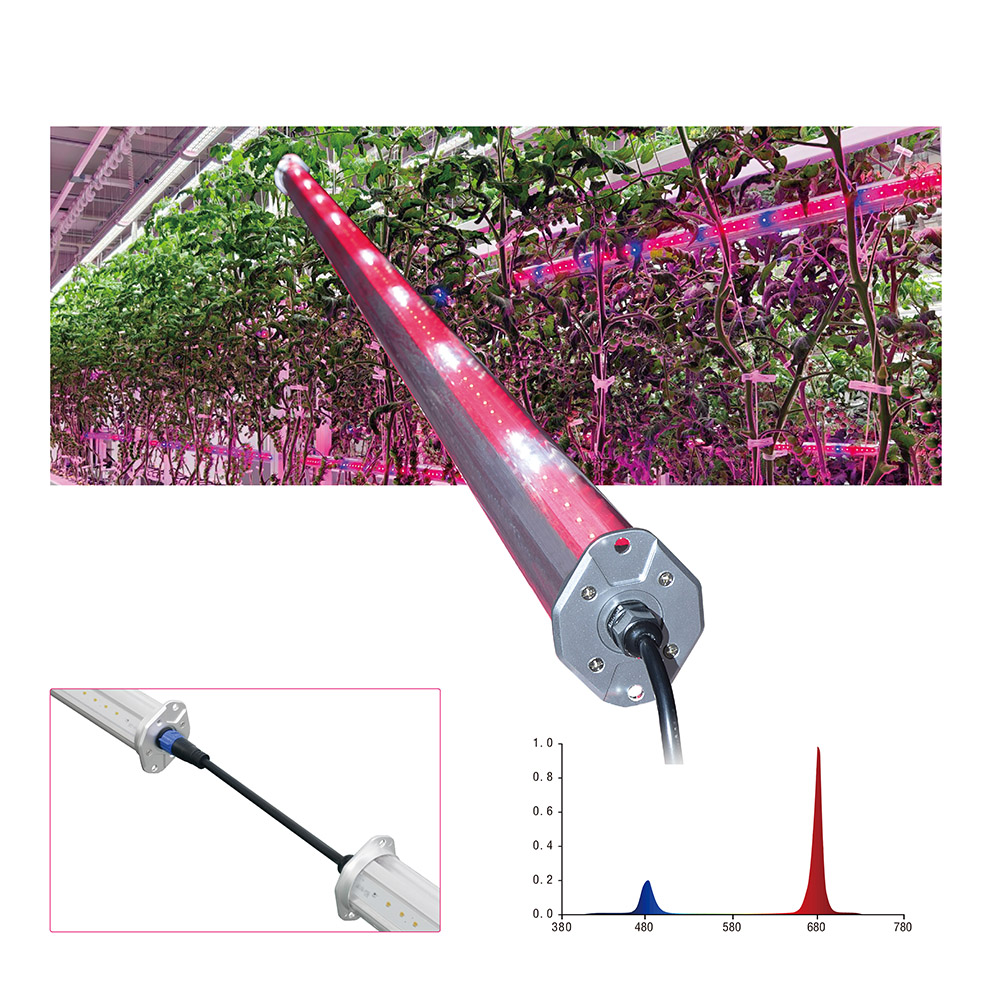 60W Inter Canopy Led Light