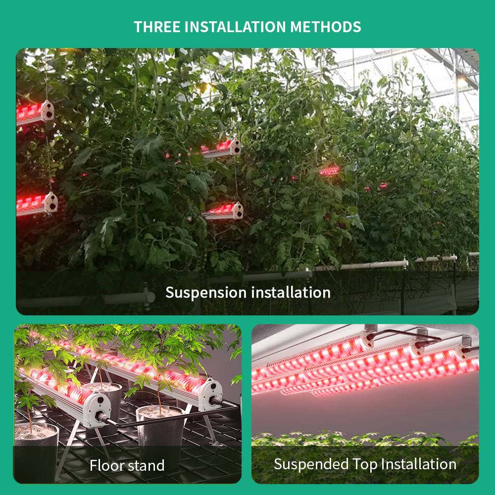 LED Under Canopy Lighting for Greenhouse Indoor Farming 120W Full Spectrum Lateral UV and IR Supplemental Grow Light