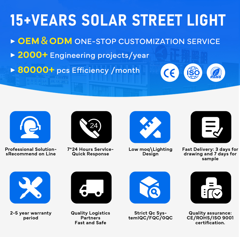 Solar Street Light Advantage 2