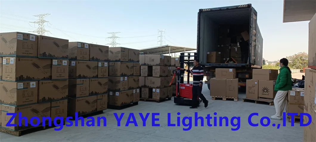Outdoor LED Sensor Light