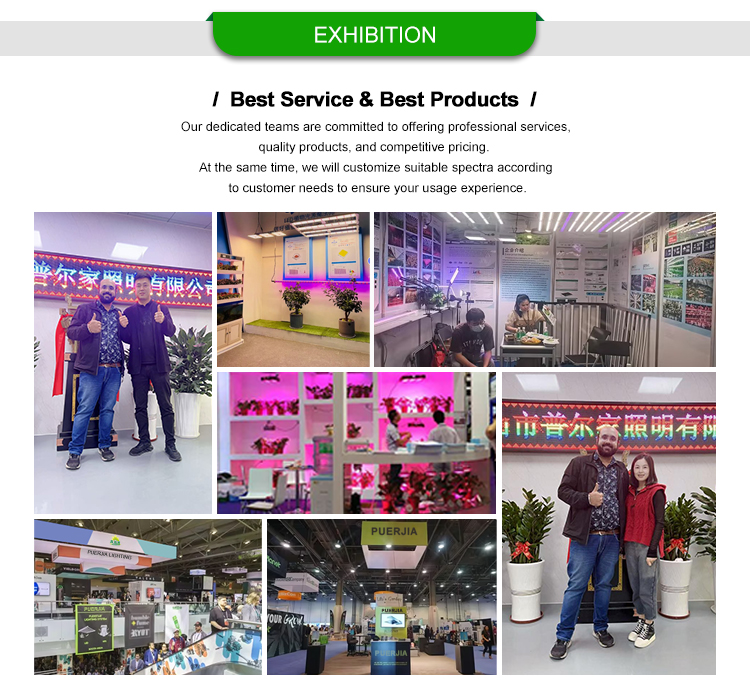 Equipment and Showroom 2