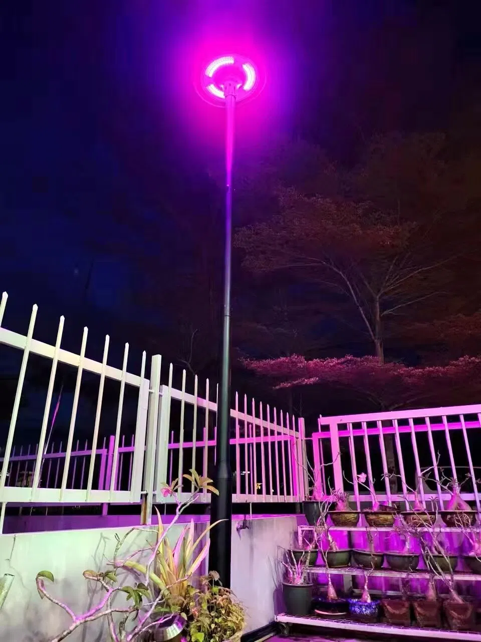 CE Modern Outdoor Mj-Ew800 UFO LED Solar Street Light for Garden Plaza Pathway Parking Lot