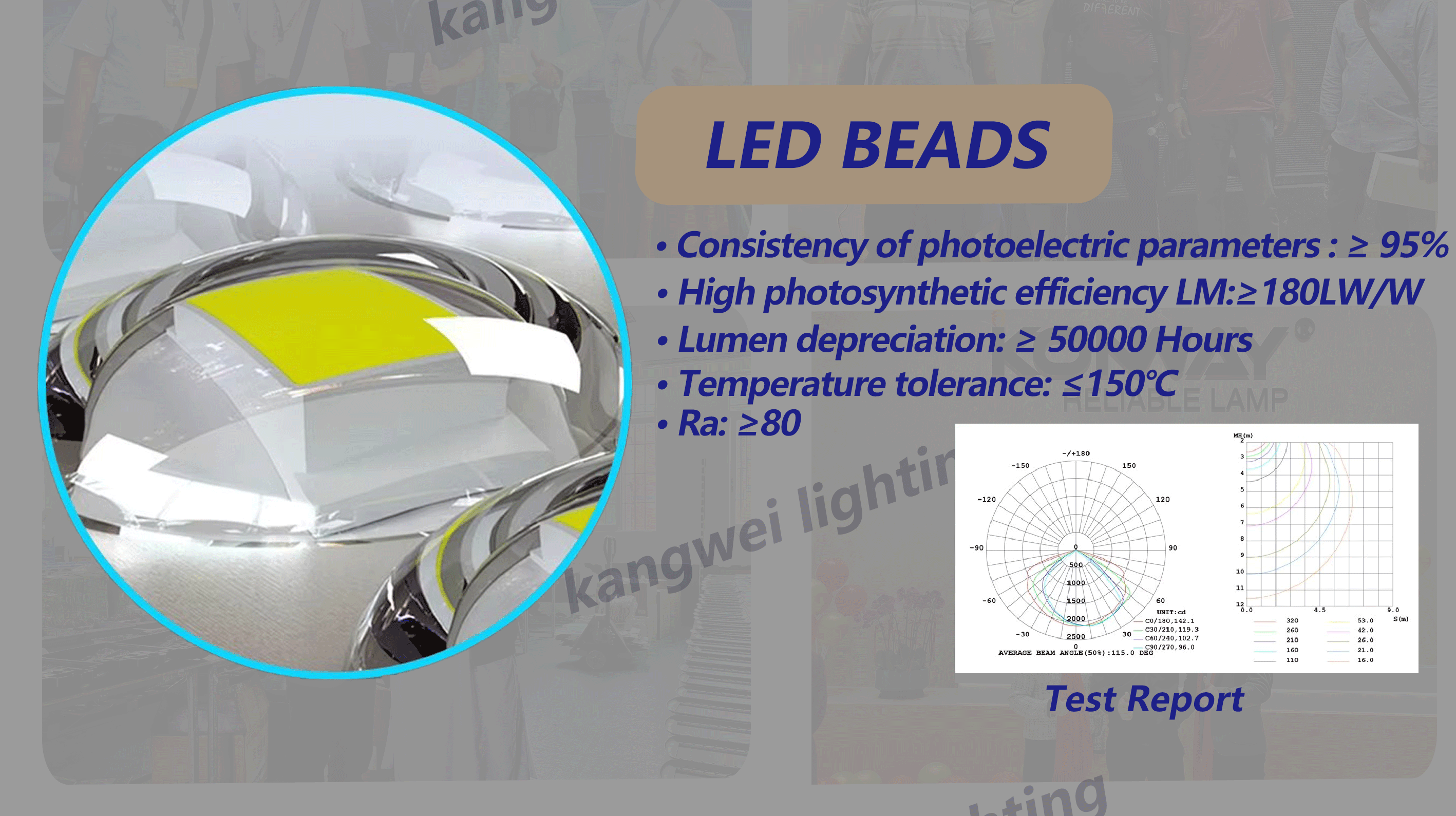 Product Description Feature 3