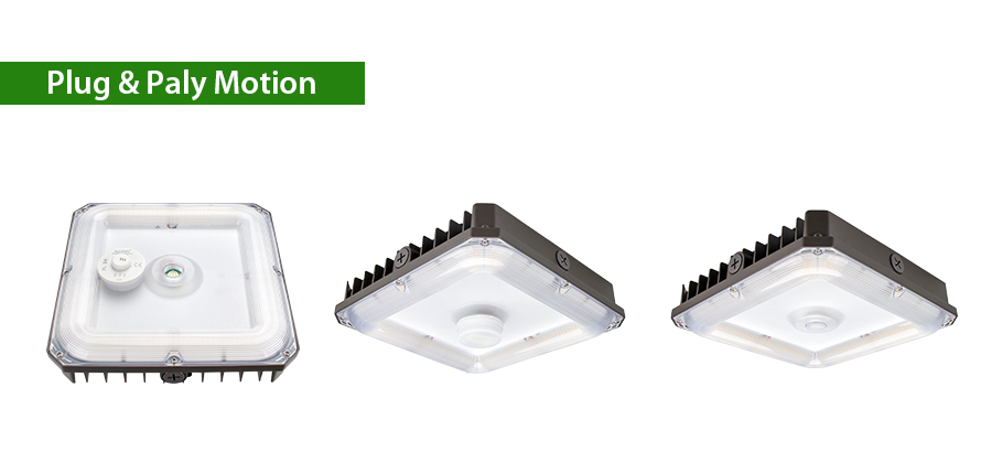 Canopy Light Details 2