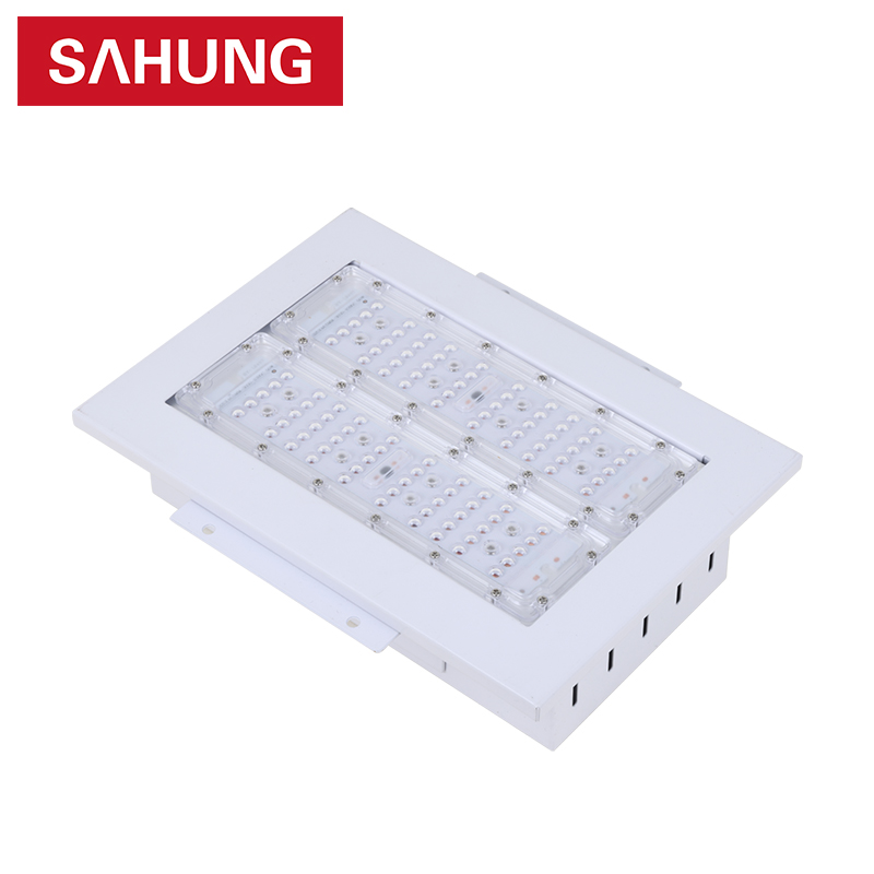High BRIGHTNESS 100W-250W IP65 Aluminum for Canopy Light with 5-Year Warranty Dimmable for Gas/Petrol Stations