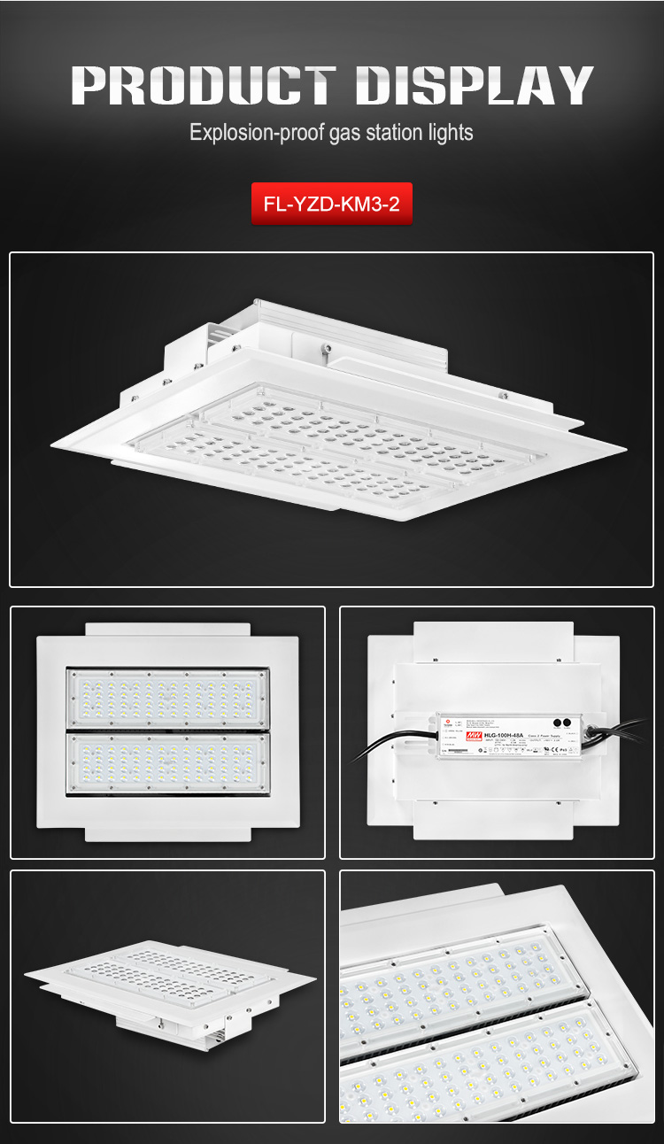 LED Canopy Light 12