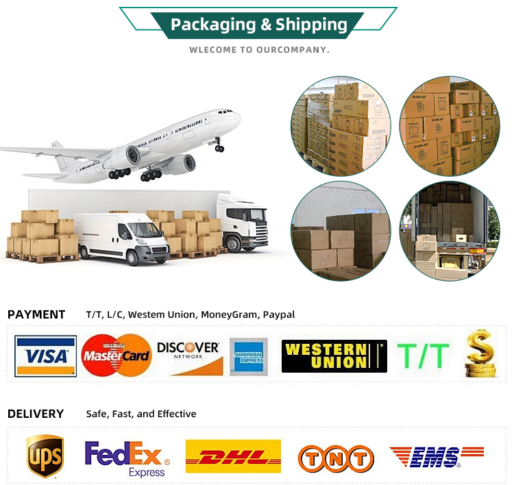 Safe Packaging and Shipping Logistics