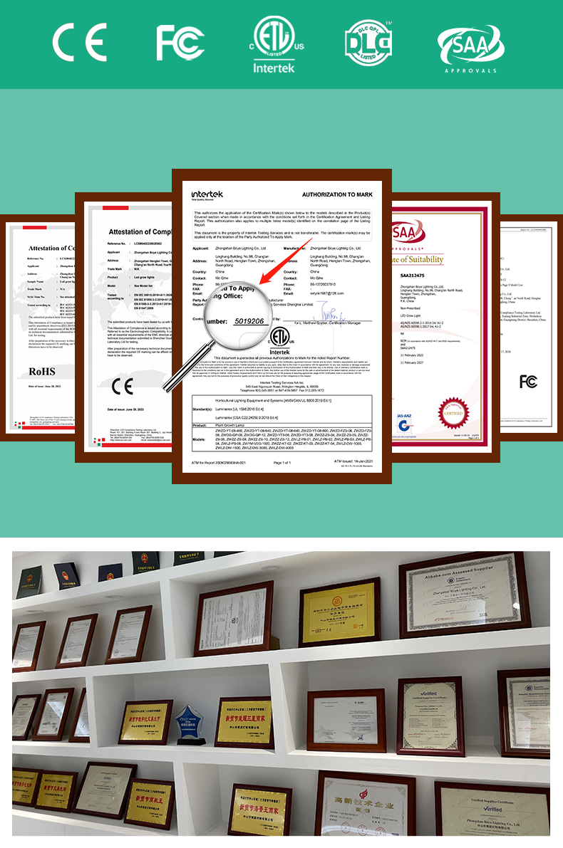 Application Details 4