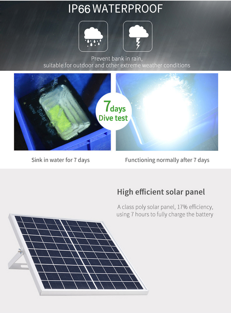 Solar flood light details