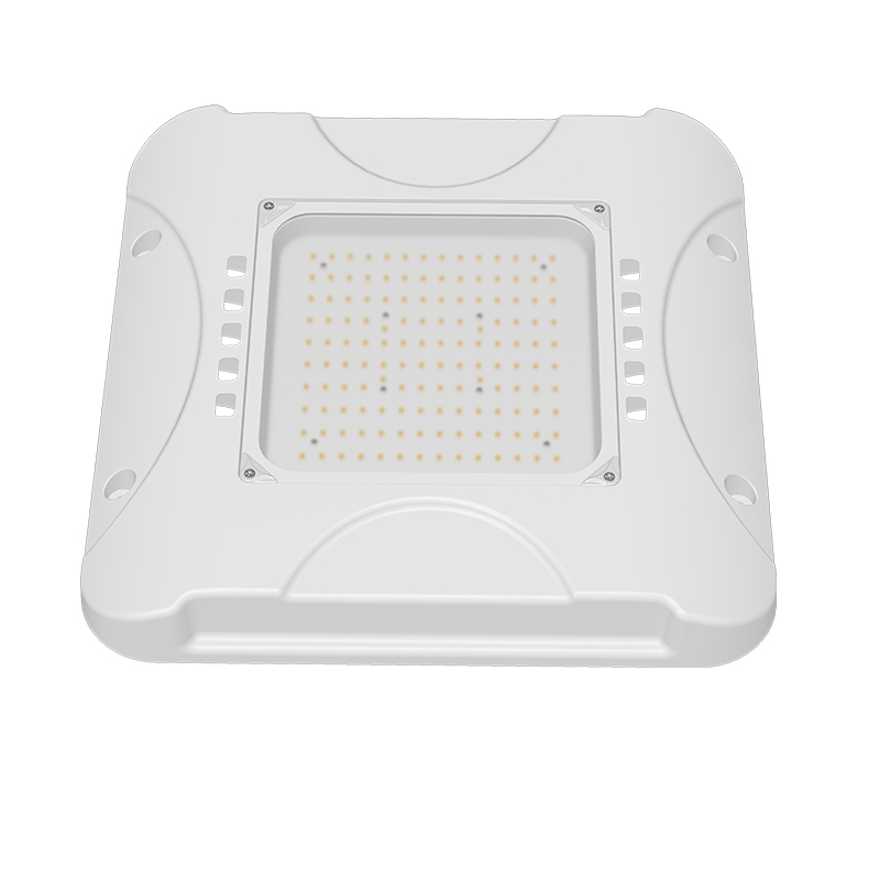 High Quality LED Gas Station Light 240W 300W Led Canopy Light for Gas Station ETL DLC Listed