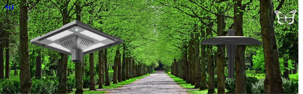 Street Walkway Application