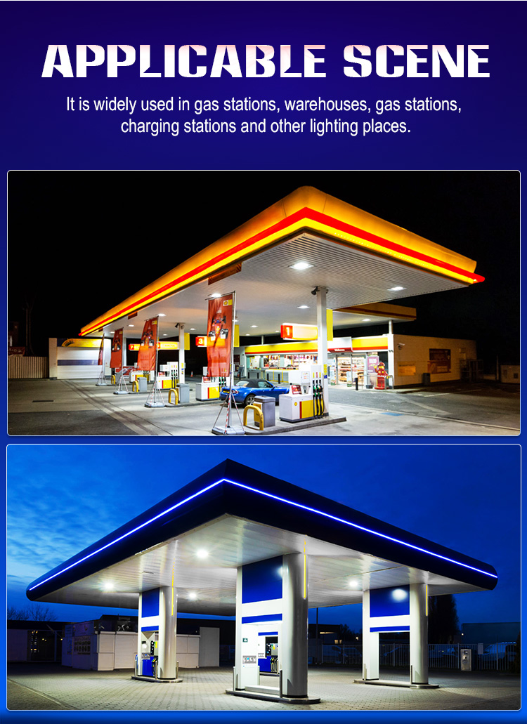 LED Canopy Light 4