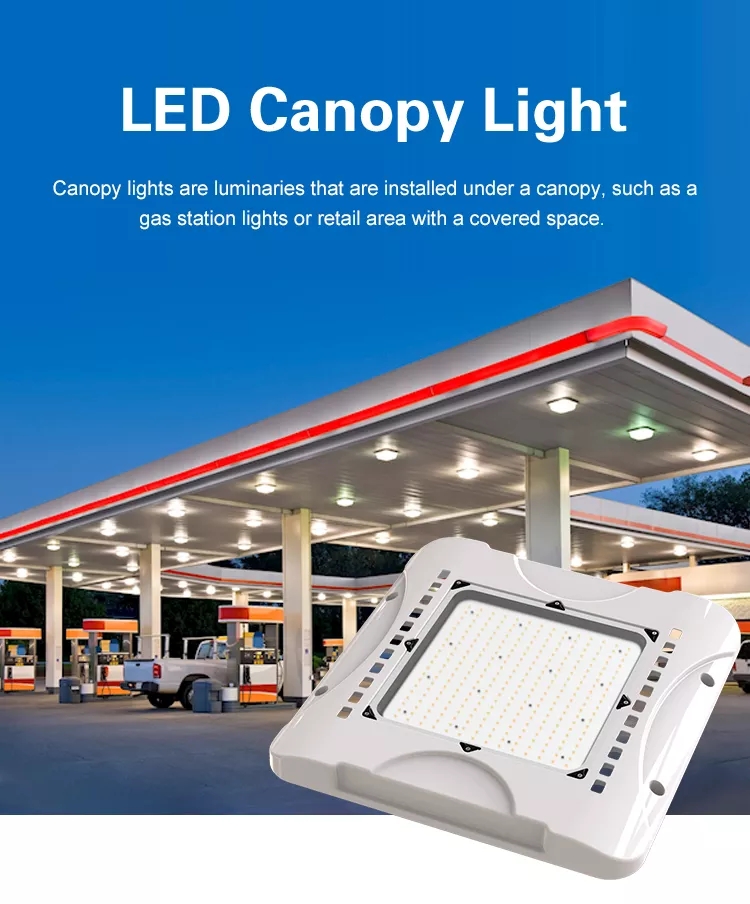 Product Description Image 1