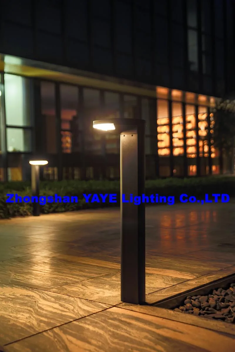 Solar Lawn Light with Stock
