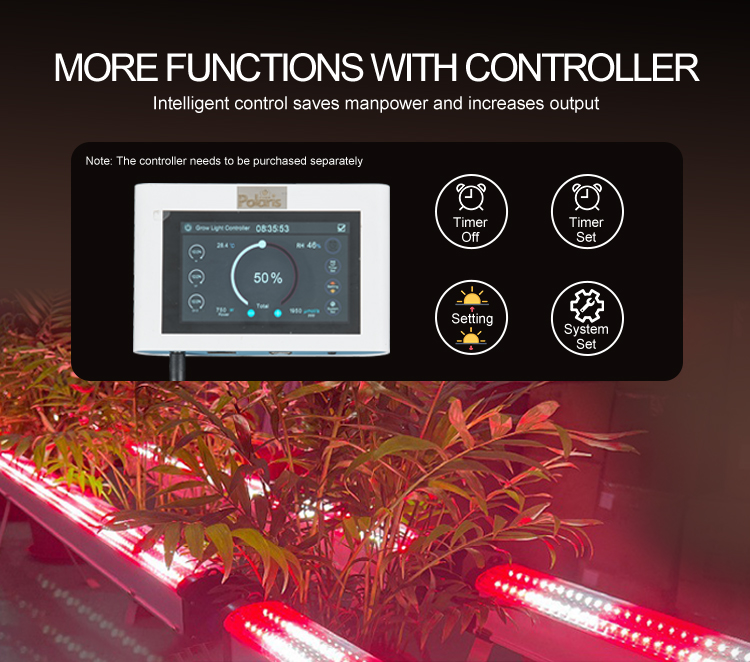 Product View 9
