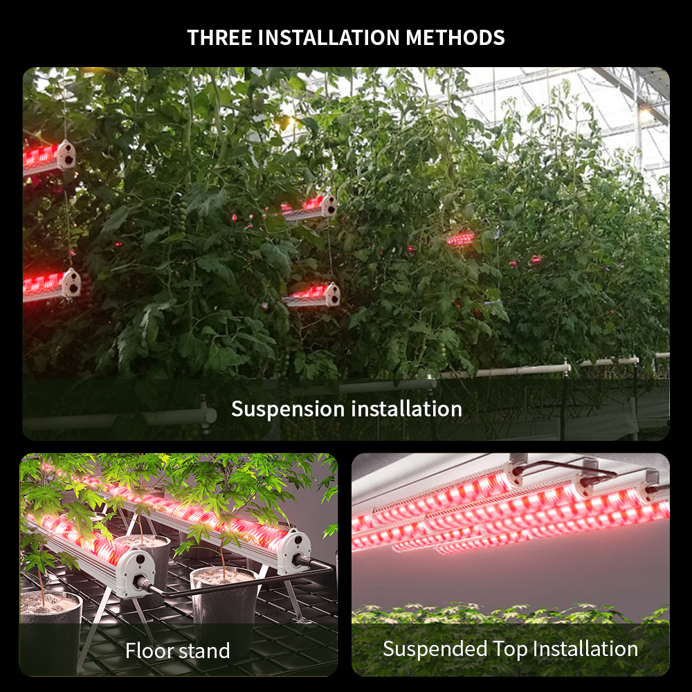 120W Full Spectrum Canopy Led Grow Light LM301H Evo for 4 Inch IP65 Smart Cob Led Chip Lighting for Indoor Plant Growth