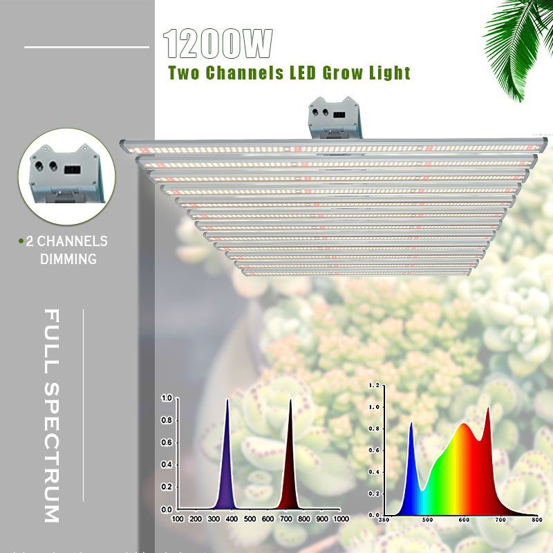 1200W 2 Channels LED Light