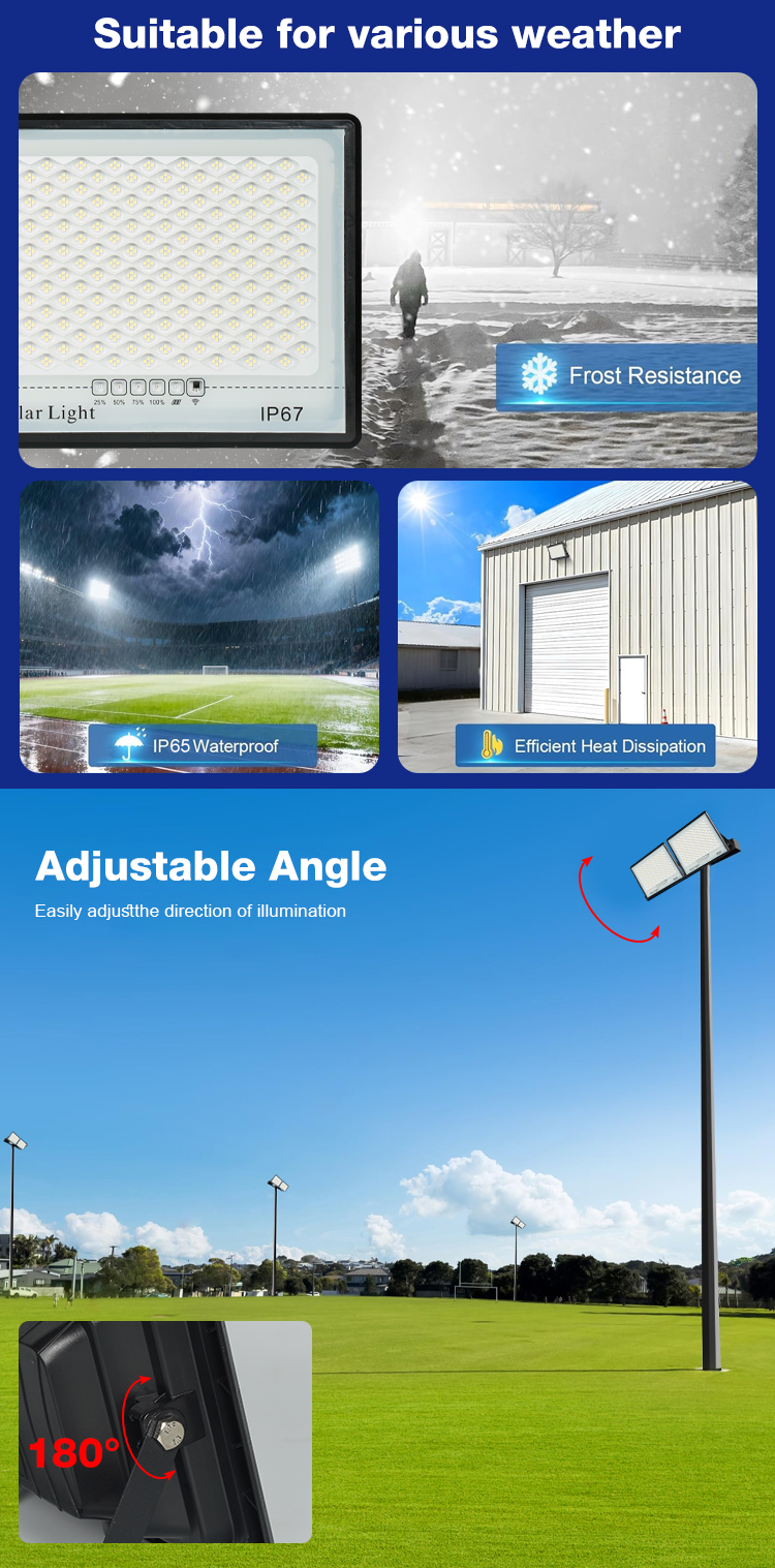 Product Details 4