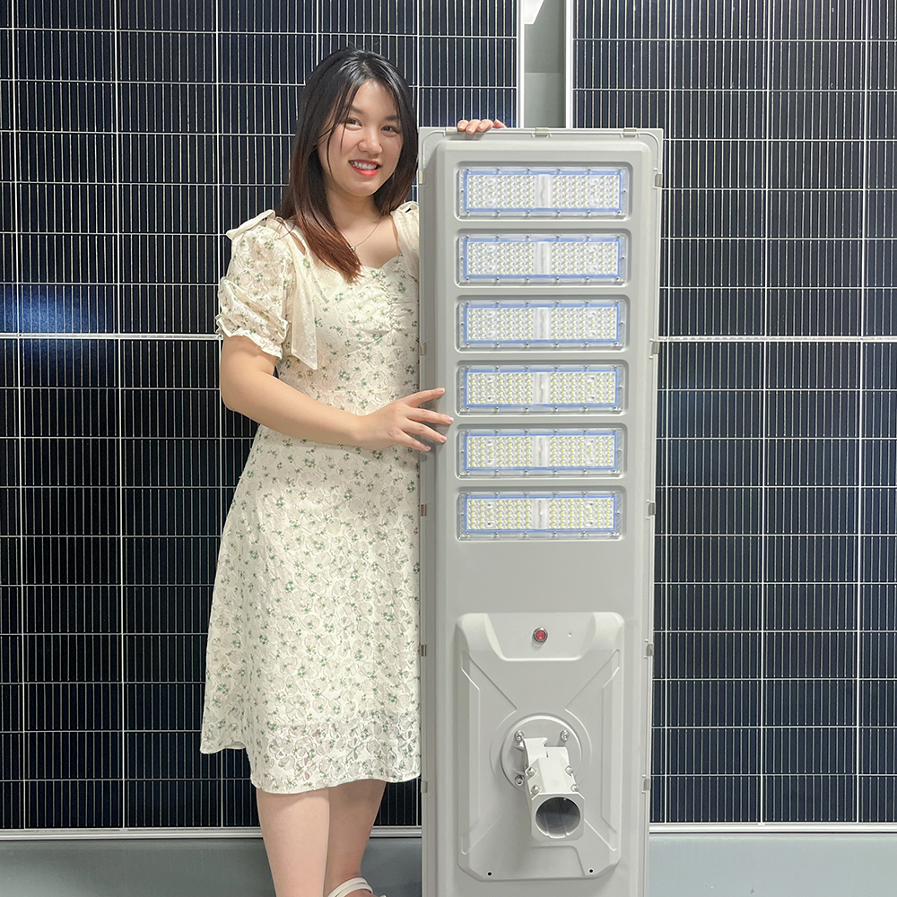 Outdoor Waterproof IP66 Road Lamp Die Casting Aluminum 30W 40W 50W 60W 70W 80W Integrated All in One LED Solar Street Light