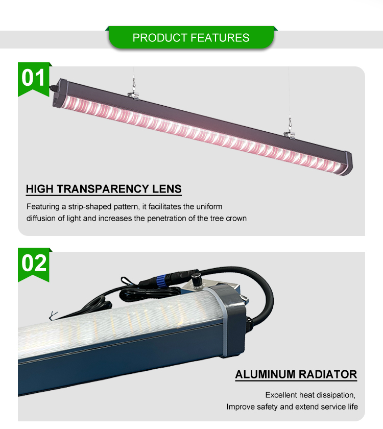 Product View 10