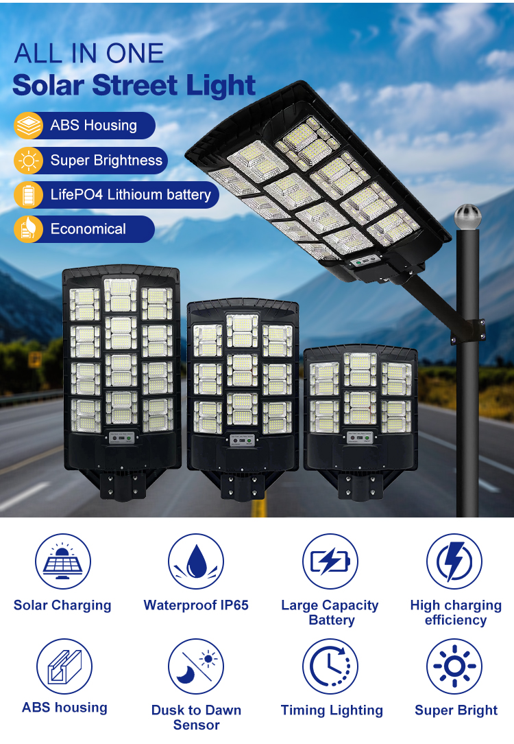 Solar Street Light Detail 1