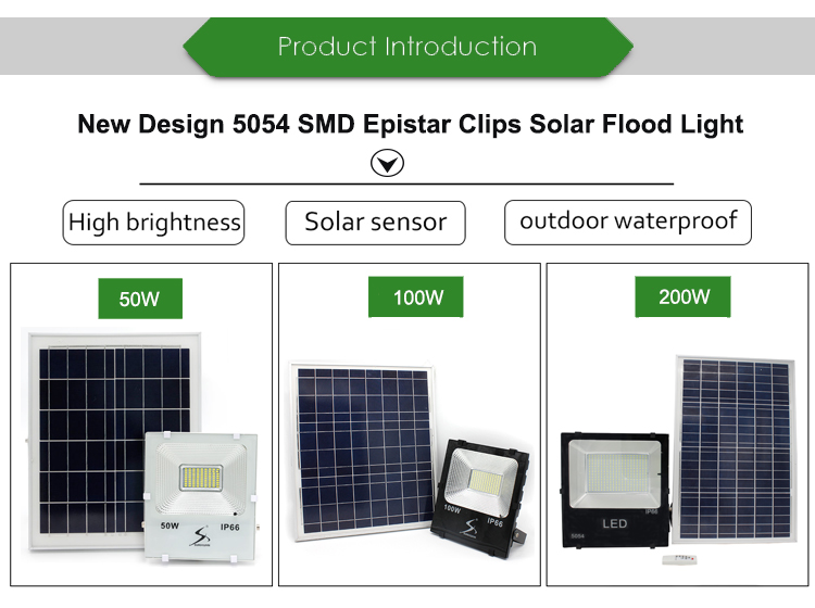 Solar flood light details