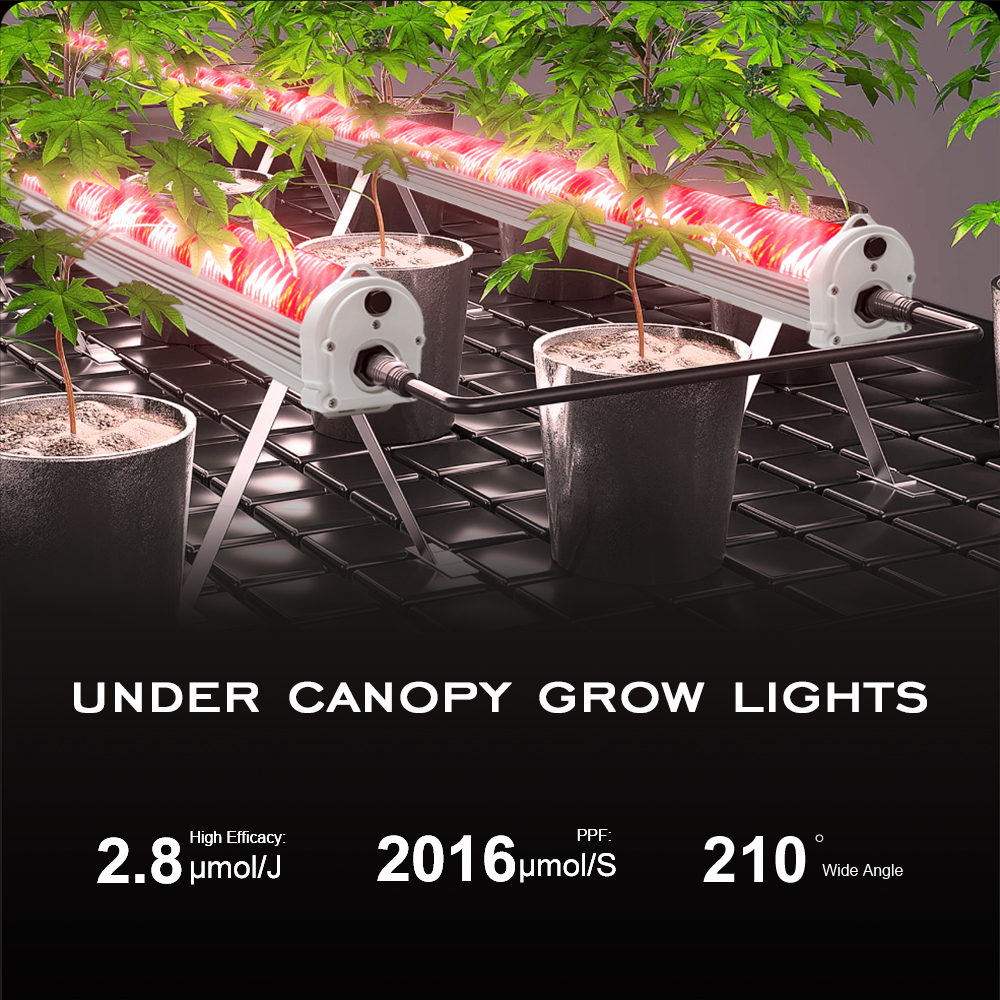 120W Full Spectrum Canopy Led Grow Light LM301H Evo for 4 Inch IP65 Smart Cob Led Chip Lighting for Indoor Plant Growth