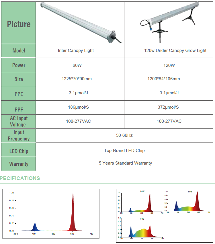 Product Description 2