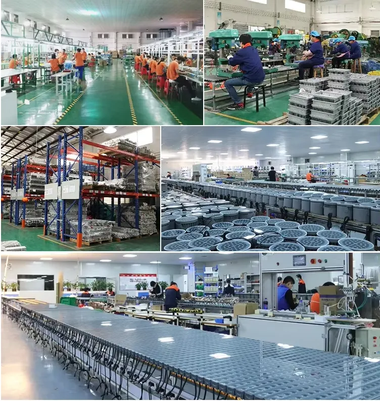 Industrial Luminaire Manufacturing and Assembly Workshop
