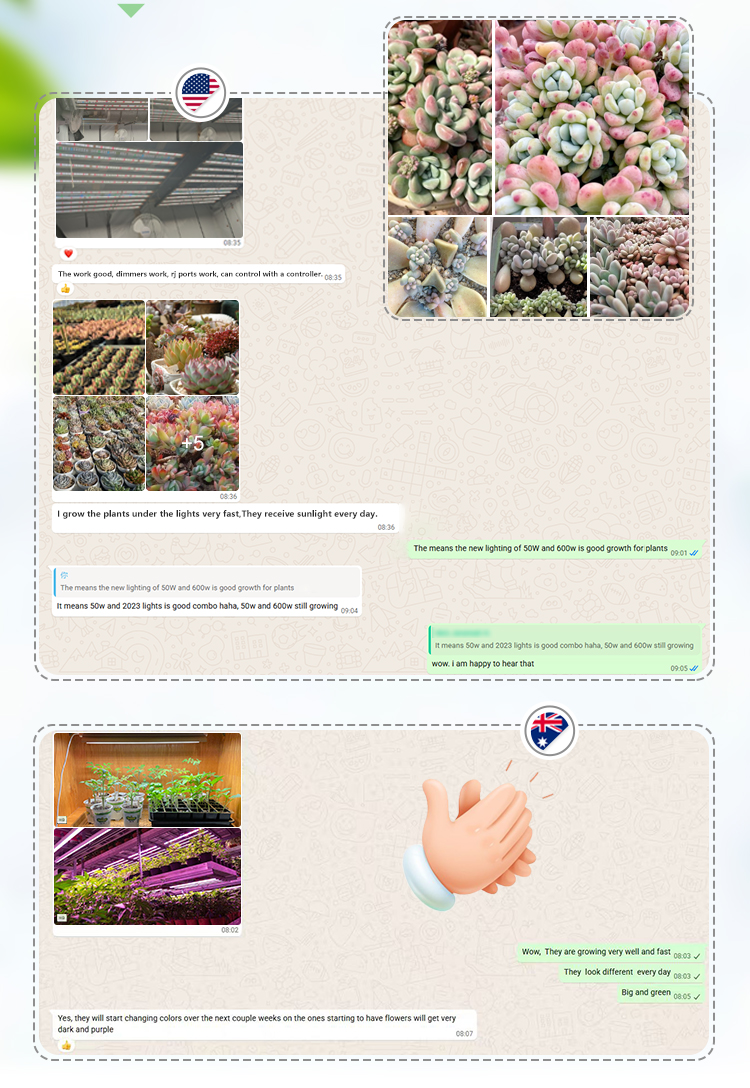 Product Details 3