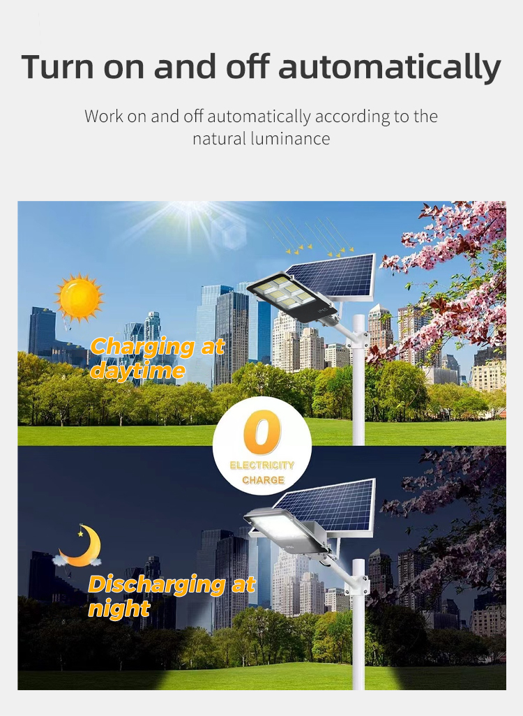 Solar Light Gallery 4