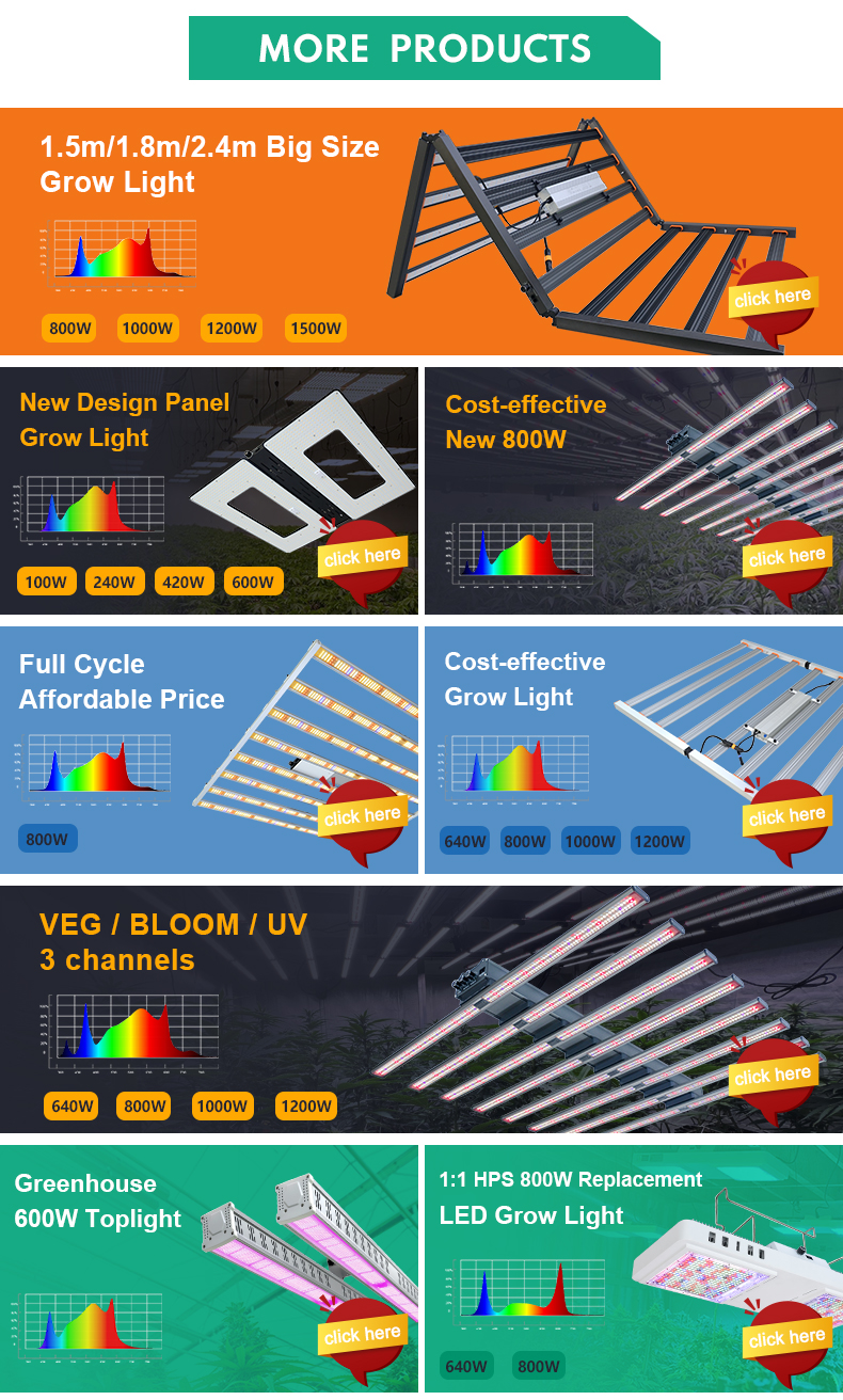 Product Options 1